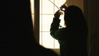 Dear Sunshine (2026)