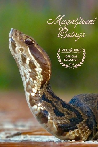 Magnificent Beings poster