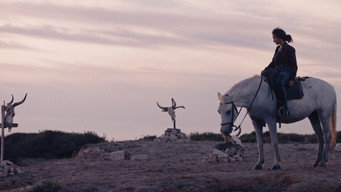 #4 Animale