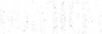 Mayhem logo