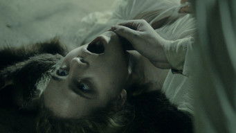 Galeria 2 - The Field Guide to Evil