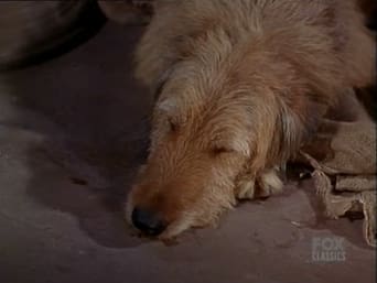 Imagem do episódio