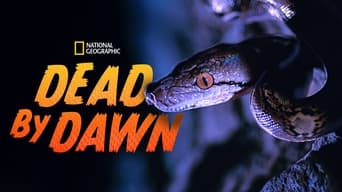 #8 Dead by Dawn