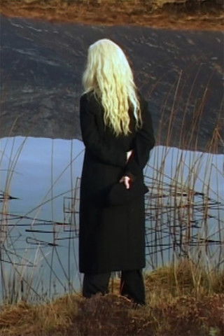 The Irreducible Difference of the Other (2013)