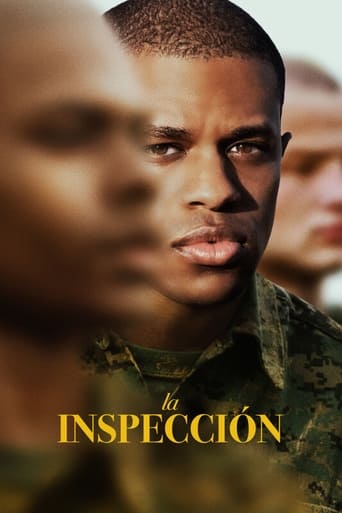 Poster of La inspección