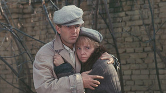 A Legal Marriage (1985)