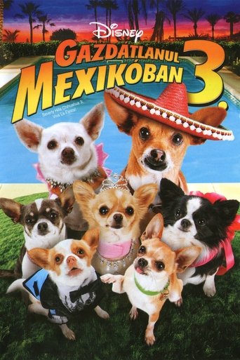 Gazdátlanul Mexikóban 3
