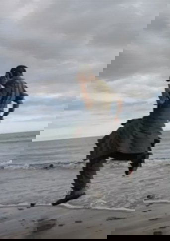 The Rock Tours Around Great Britain, 2006-2007 (2007)