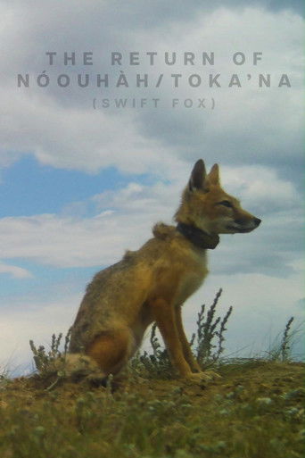 The Return of N&oacute;ouh&agrave;h-Toka&rsquo;na (2024)
