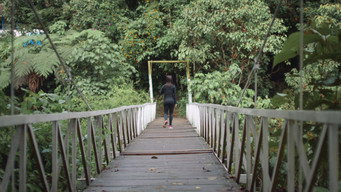 Colombia: Mountains and Lush Vegetation