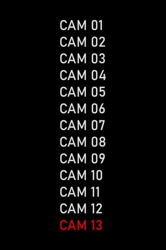 CAM 13 poster