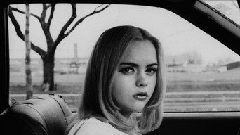 #109 Баффало '66