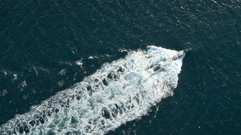 Still 3 from Kraken