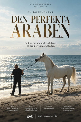 Den perfekta araben-plakat