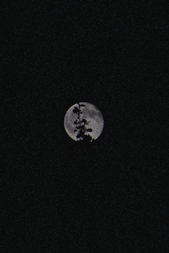 Lunar Visions II (2025)