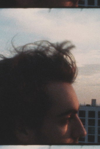 window-light, reels 1 - 2 poster