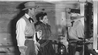 #12 Belle Starr