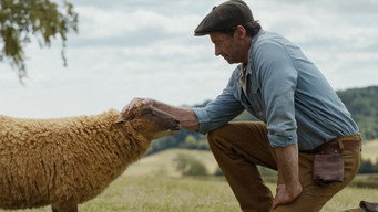 The Sheep Detectives backdrop 3
