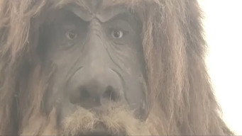 Eyes from the Pines (2021)
