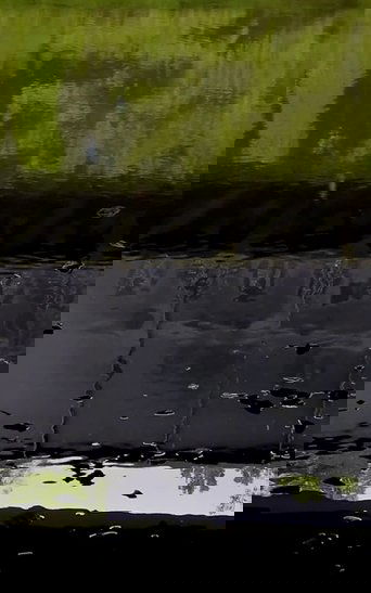 Watercolor (Fall Creek)