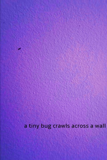 a tiny bug crawls across a wall (2024)