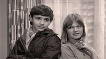 Домашня війна (1965-1966)