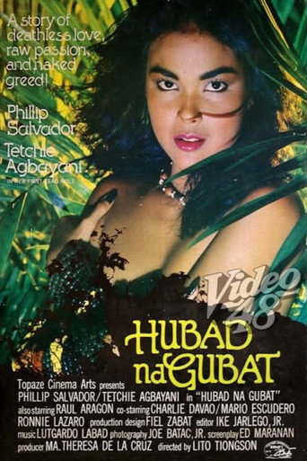 Poster 4