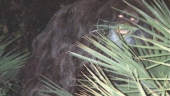 Southern Fried Bigfoot (2007)