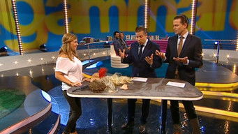 Episode 6 — Svensken och f&aring;f&auml;ngan