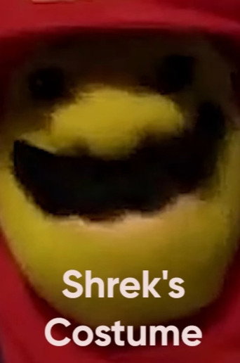 Shrek's Costume