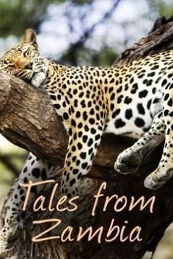 Tales from Zambia