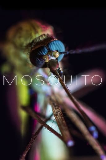 Mosquito en streaming 