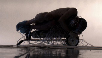 Over My Dead Body (2012)