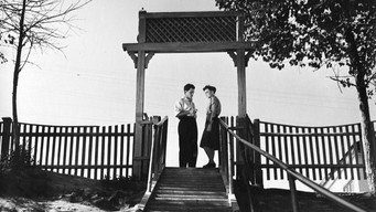 The City Turns the Lights On (1958)
