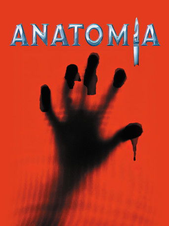 Anatomia