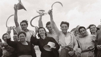 A History of the European Rural Life (2024)
