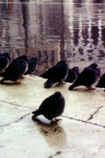 City by the Sea, or how to survive in Venice (1970)