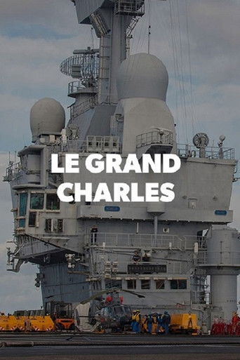 Le grand Charles poster