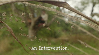 An Intervention
