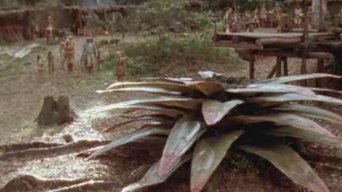 Episódio Episódio 13 da série O Mundo Perdido