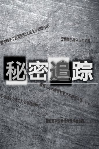 Poster of 秘密追踪