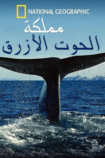 مملكة الحوت الأزرق