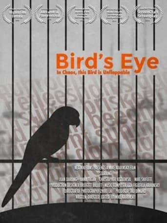 Poster of Bird's Eye
