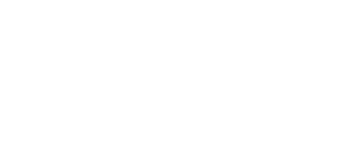 Rumble in the Bronx logo