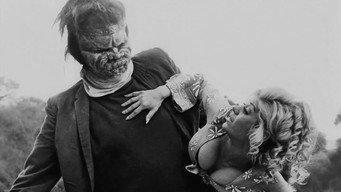#4 Dracula vs. Frankenstein