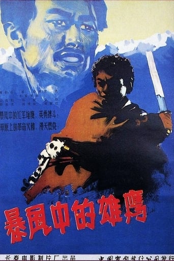 Poster of 暴风中的雄鹰