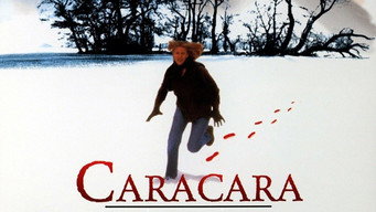 Caracara media image
