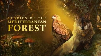 Stories of the Mediterranean Forest - S1E01