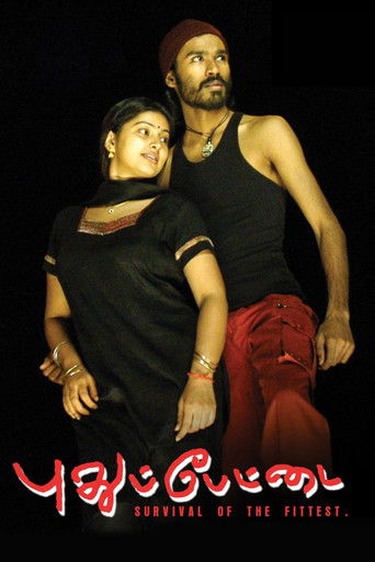 Pudhupettai collection