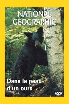 National Geographic : Dans la peau d'un ours poster